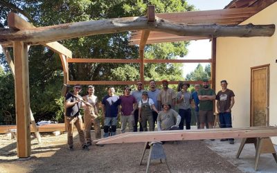 Timberframing Group Photo - 2025-07-18